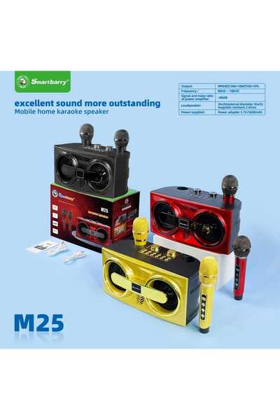 Smartberry Karaoke Speaker