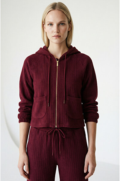 Allyco Long Sleeve Hooded Crop Regular Sweatshirt