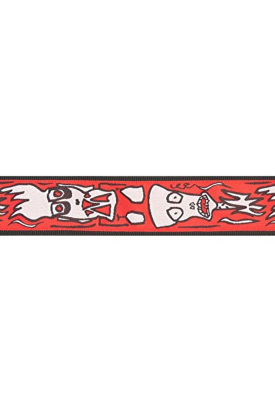 Generic Brand Planetwaves 50Js02 Guitar Strap, Woven, Joe Satriani Flame