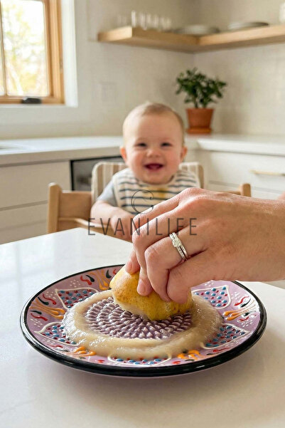 EvaniLife Seramik Rende Tabağı Çok Amaçlı Pratik Sarımsak & Zencefil Rendesi ...