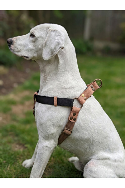 balkonda Dog Chest Harness Large Breed Adjustable Column Cord and Velvet Hone...