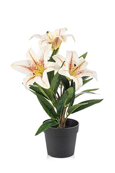 Noname Planta artificiala Crin (Lily), crem, 33 cm, in gh...