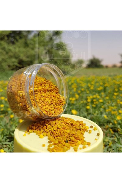 Al-Shuhail Honey حبوب لقاح سعودي من الشهيل بملمس ناعم وحبيبات صغيرة للعناية بالصحة وتعزيز النشاط | 200 جرام