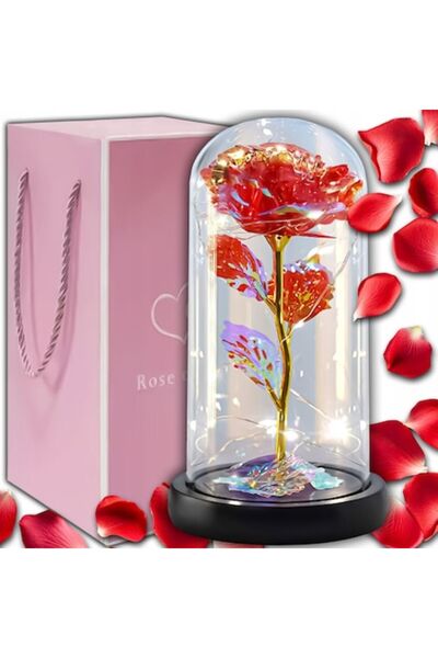 OEM Set of Eternal Roses in Glass with LED Lights and Gift Packaging