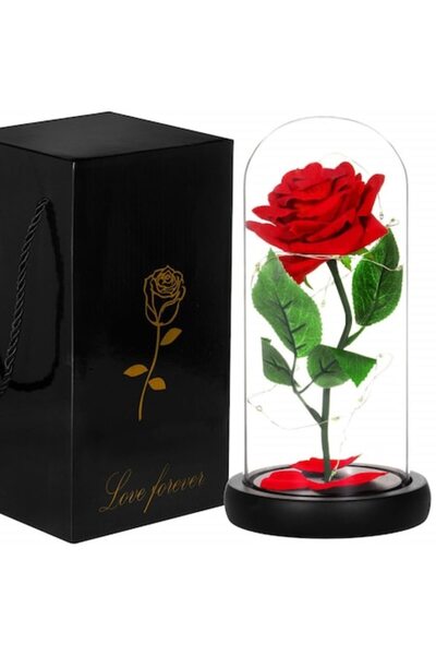 OEM Cryogenated Rose in Dome