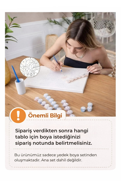 Tabdiko Sayılarla Boyama - Boya Seti