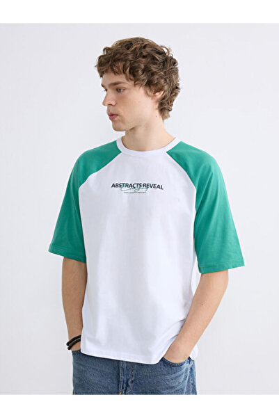 LC Waikiki Rmz Gi̇yi̇m Farkiyla Zero Roba Collar Color Block Men's T-Shirt