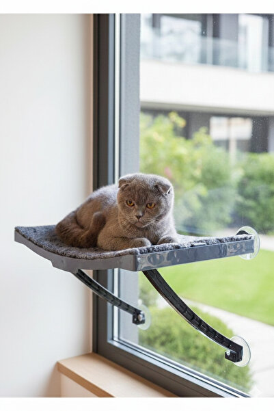 dexpet Cam Ve Duvar İçin Kedi Yatağı Güçlü Vantuzlu Pencere Önü Kedi Dinlenme...