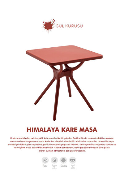 Daim Plastik HIMALAYA DEMONTE MASA 70X70 CM KARE