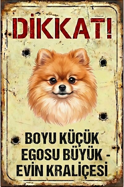Iron Paws Dikkat Köpek Var - Pomeranian Boo (Spitz) Uyarı Levhası - Dekota Üz...