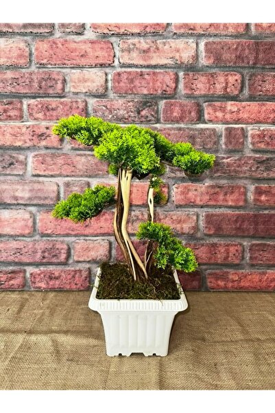 Ekodoğa Yapay Bonsai Ağacı 45 cm Gerçek Dekoratif Gövde Yapay Çiçek Yapay Bitki