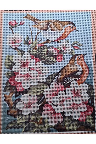 Seg Goblen Nakış Kiti