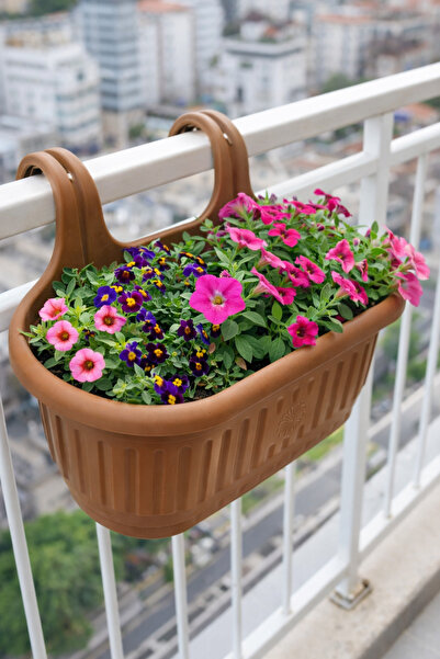 Binbirreyon Askılı Saksı Çift Askılı Balkon Saksısı 36cm AH157