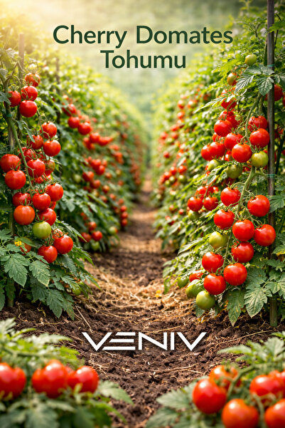 VENİV 20 Adet Cheery Çeri Domates Tohumu