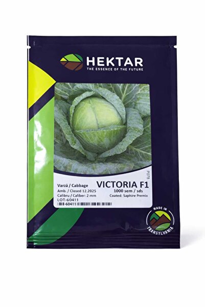 Hektar Cabbage seeds VICTORIA F1 – 1000 seeds –