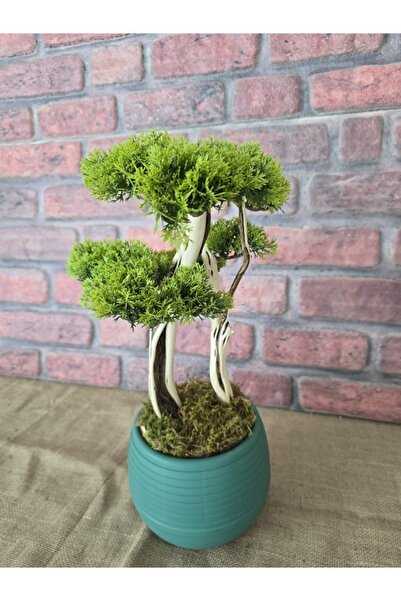 Ekodoğa Yapay Bonsai Ağacı 40 cm Gerçek Doğal Gövde Yapay Çiçek Bitki