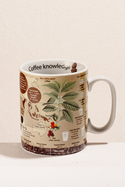 Paşabahçe Coffee Knowledge Porselen Kupa