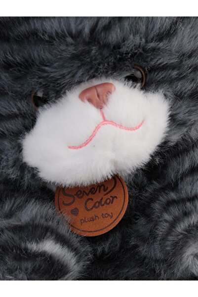 CAN OYUNCAK وبري قطعة قطة جالسة 25 سم - قياسي