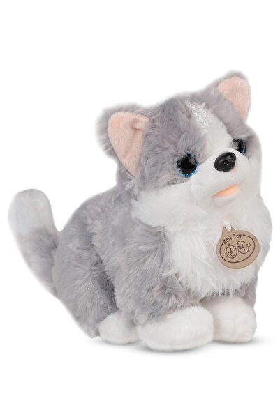 CAN OYUNCAK كلب (رمادي) مع آلة موسيقية - ستاندرد ستاندرد