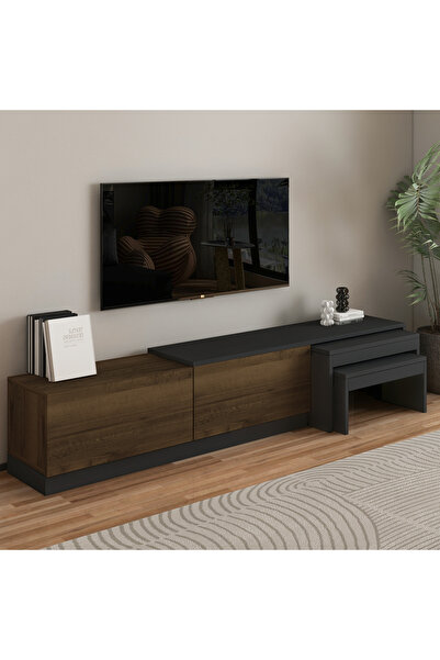 İNARCH DİZAYN Nest TV Sehpası – Modern Tasarım,2 Kapaklı Depolama ve İkili Zi...