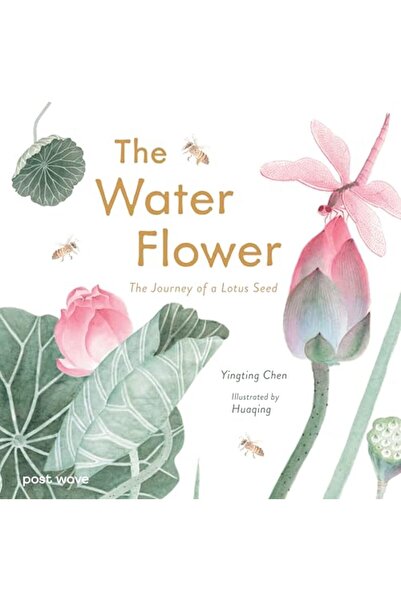 Post زهرة الماء: رحلة بذرة اللوتس