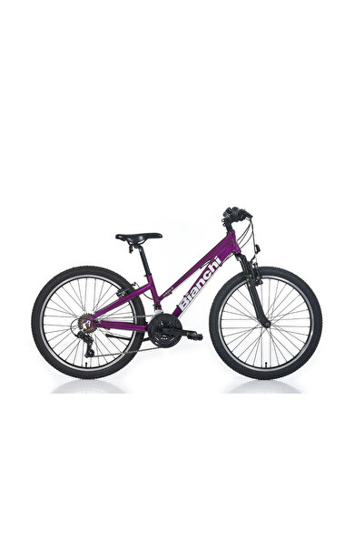 Bianchi XR24.3 KADIN DAĞ BİSİKLETİ 310H V 24 JANT 21 VİTES MÜRDÜM GRİ