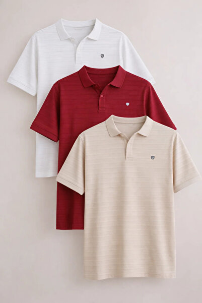 COMBİNE MİCHAİL Men's Short Sleeve Loose 3-Piece Polo Collar T-Shirt