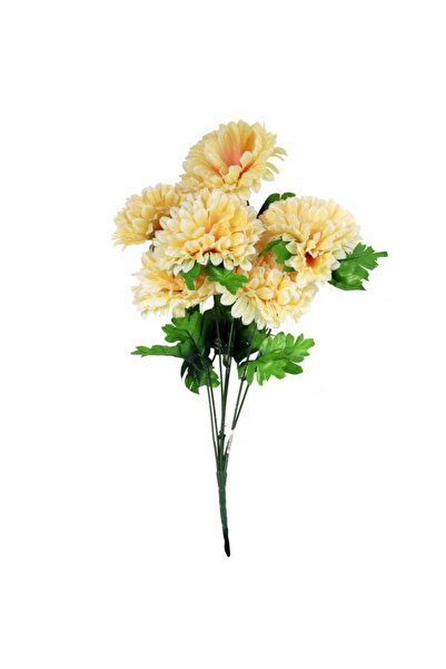 Goliat Buchet de 7 crizanteme, 58 cm, culoare crem