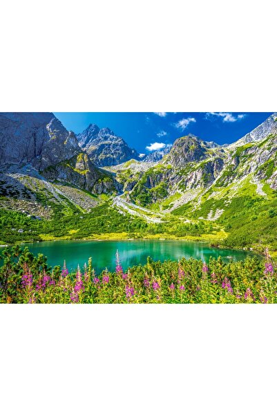 Castorland Puzzle 1000 pieces - Zelene Pleso, Tatras, Slovakia (Castorland-10...