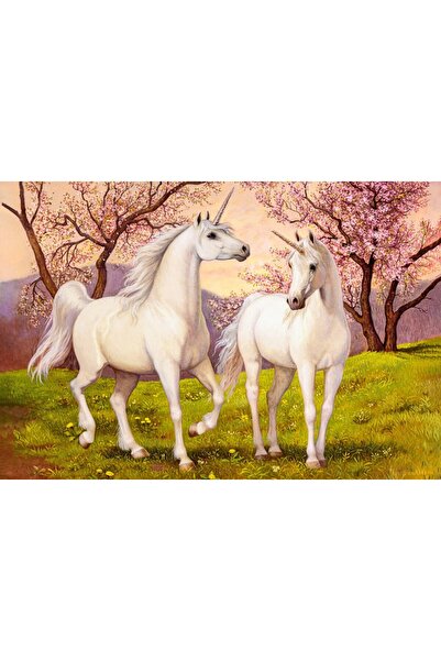 Castorland Puzzle 1000 pieces - Unicorn Love (Castorland-105236)