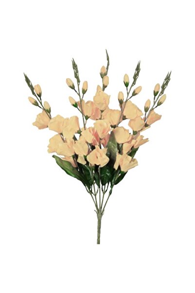 Goliat Buchet de 5 gladiole crem