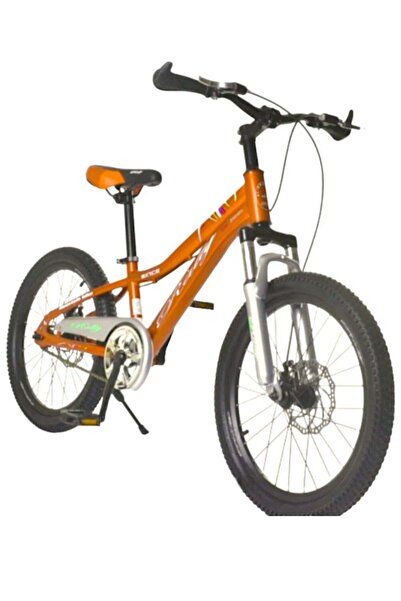 Rally Classic Metallic Bicycle With Disc Brakes Size 20 For Kids