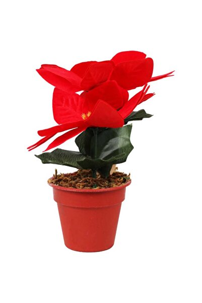 Goliat Czerwona Sztuczna Poinsecja w Doniczce