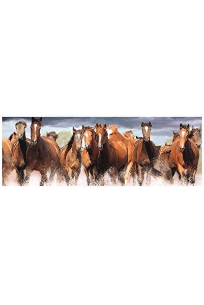 Dino Puzzle 150 pieces XXL panoramic - Horses in the Water (Dino-39334)