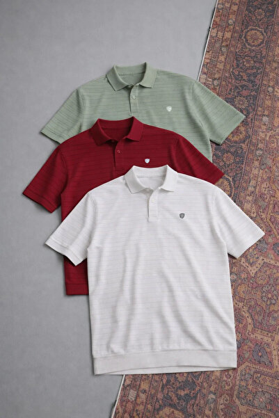 COMBİNE MİCHAİL Men's Casual Cotton Pack 3-Piece Polo Collar T-Shirt