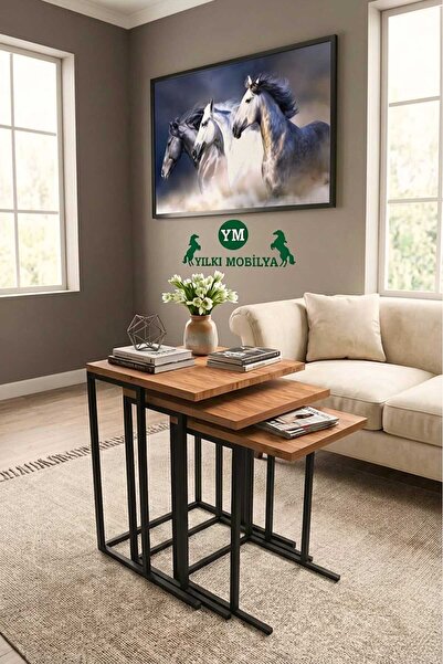 Yılkı Mobilya Zigon Sehpa Üçlü Siyah Metal Ayaklı