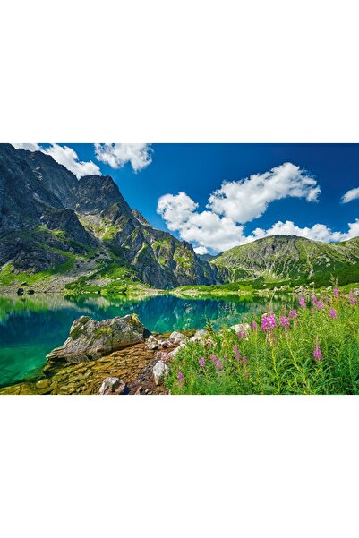 Castorland Puzzle 500 piese - Czarny Staw pod Rysami, Tatras, Poland (Castorl...