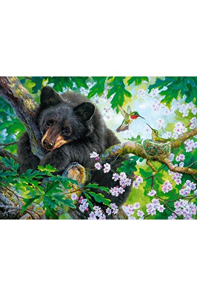 Castorland Παζλ 200 κομμάτια - Ευχαρίστησα κι αν μπορούσα να πετάξω (Castorla...