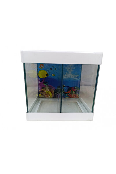 canlipetshop Betta Akvaryumu İki Bölmeli 20 Cm 5 Litre Beyaz Renk