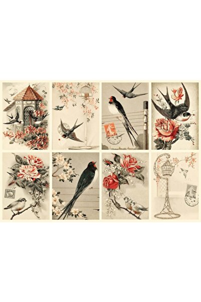 Nova Puzzle Puzzle 1000 piese Nova - Vintage Collage (Nova-Puzzle-41010)