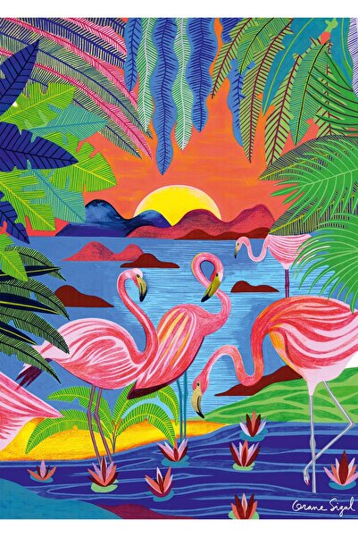 Pieces & Peace Puzzle 1000 pieces - Sigal Orane: Flamants Roses (Pieces-and-P...