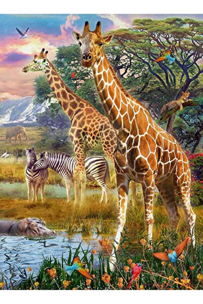 RAVENSBURGER Puzzle 150 Piese - Girafe in Africa (Ravensburger-12943)