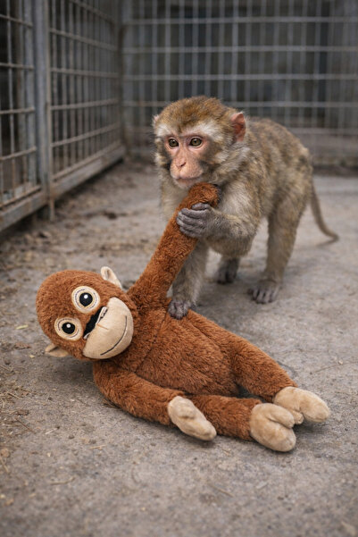 Aryatoys 65 cm punch maymun peluş