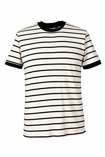 trender 4038 Ecru Men's T-Shirt O Neck Striped
