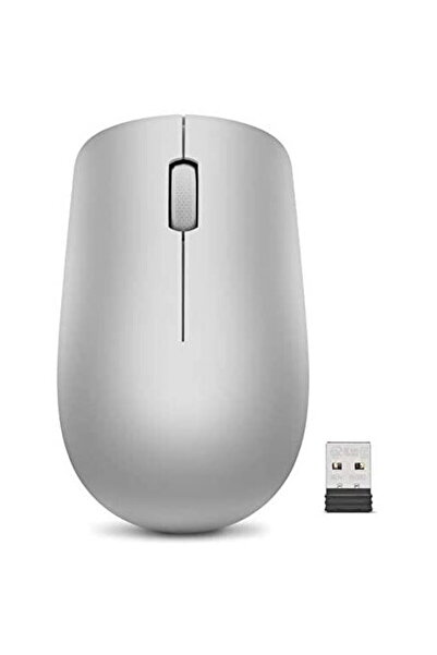 LENOVO 530, Ambidextru, Platinum Grey