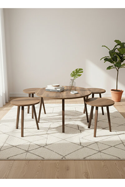 Living 5-Piece Wooden Table Set with Modern Design and Smart Space Utilization