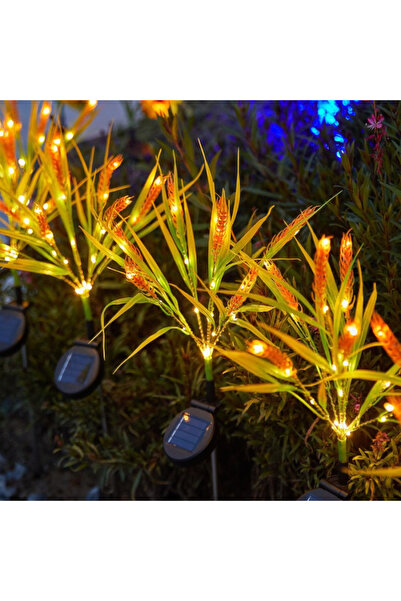 Novexa Set 2 Lămpi Solare Decorative Țipă de Grâu M374-16, 60cm, IP66, LED cu...