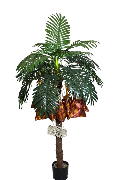 Generic شجرة نخيل توزيعات با اكيس مزينة بتمور