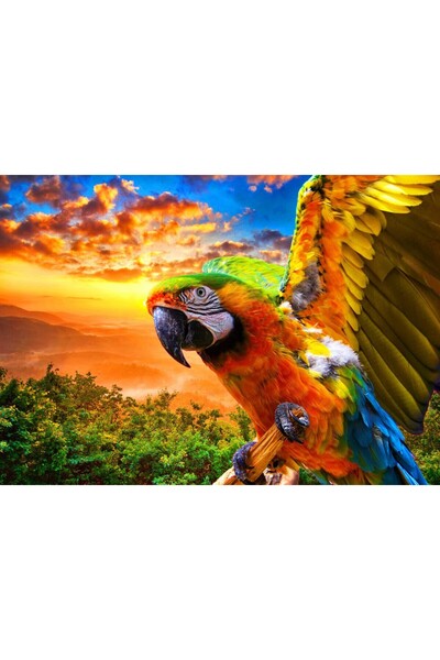Bluebird Παζλ 1000 κομματιών - Παπαγάλος (Bluebird-Puzzle-F-90263)