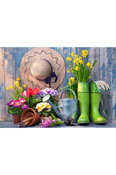 Bluebird Παζλ 1000 κομματιών - Έτοιμο για τον Κήπο (Bluebird-Puzzle-F-90354)